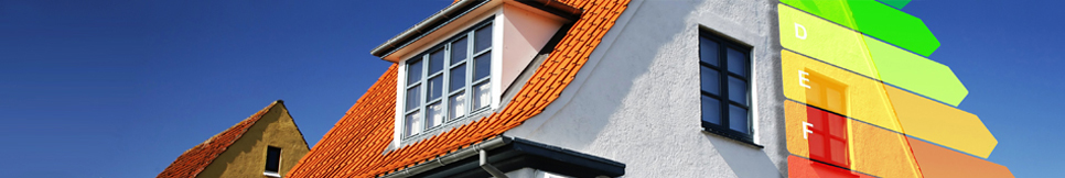 Banner - Harald Rechter